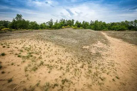 Photo de Espace naturel sensible des Dunes des Charmes