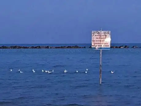 Lido Hercules