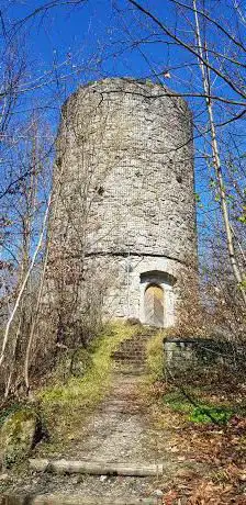 Photo de Seeburgturm