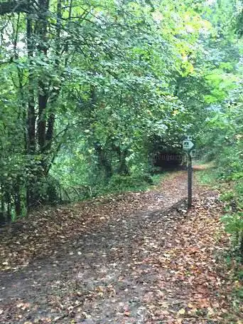 Cave Woods