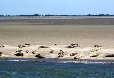 Photo de Oosterschelde National Park