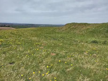 Padderbury Top