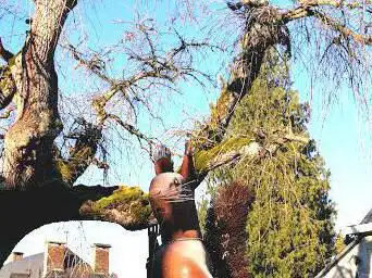 Photo de Max l'Écureuil géant