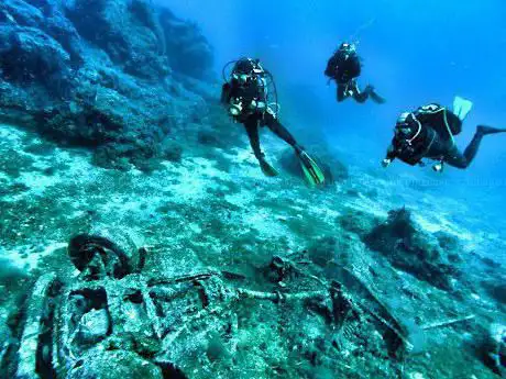 Anthias Diving