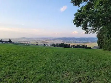 Dählwiteli