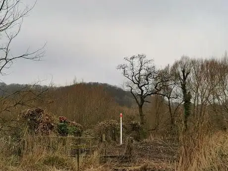 Lawrence Weston Moor