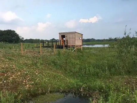 Photo de Iron Trunk Bird Hide