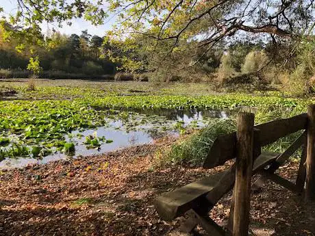 Natuurgebied Thiewinkel