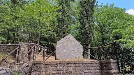 Foresta di Monte Pisanu