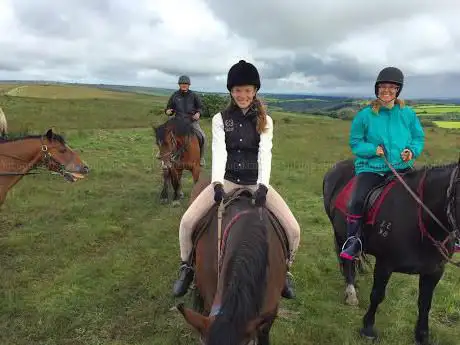 West Anstey Farm Stables