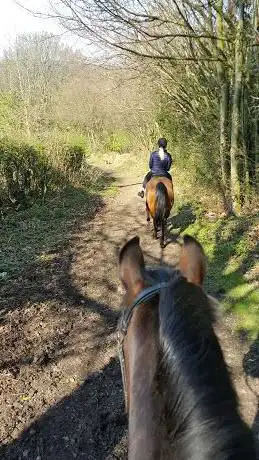 Photo de Mole Hill Farm Livery