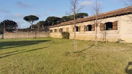 Photo de Centro Equestre Castelporziano