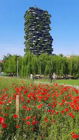 Photo de Campo di Fiori BAM