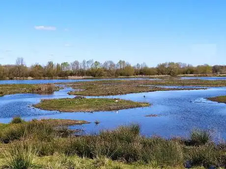 Photo de RSPB Lookout
