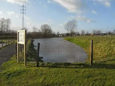 Photo de Provinciaal Overstromingsgebied Molenbeekse Plassen