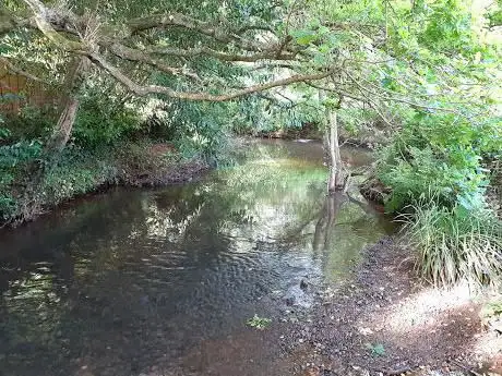 Photo de Mayford Meadows