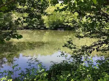Dättwiler Weiher