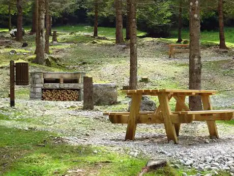 Pineta Pian di Vione