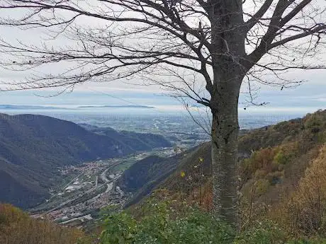 Photo de Punto panoramico Camposolagna