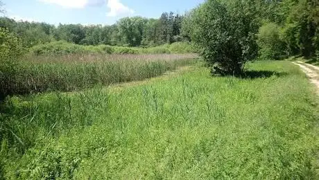 Photo de Gras Seen