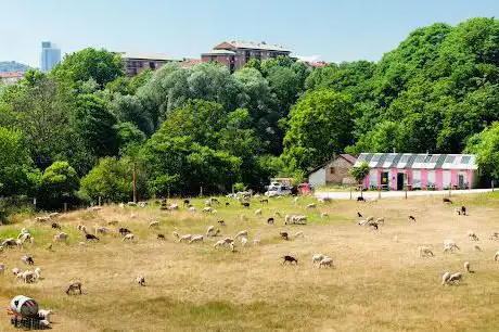 Orto Urbano