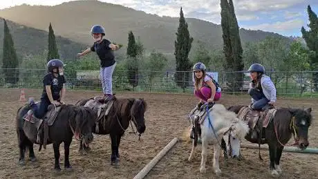 Centro Equestre Val Nervia