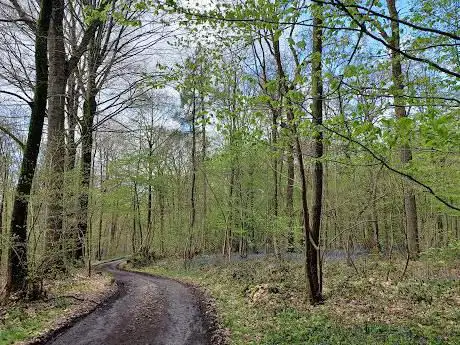 Photo de Bois d'Enghien
