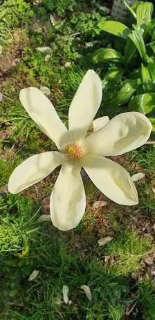 Photo de The Willoughbridge Garden Trust