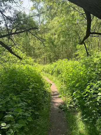 Photo de Bos van Terhagen