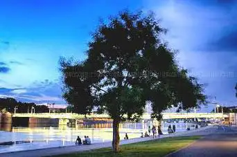 Photo de Promenade piétonne Quai Victor Augagneur