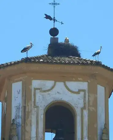 Photo de Parroquia NÂ° Señora de La Asunción