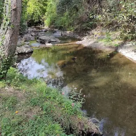 Photo de Merendero de Cabezon de Liebana