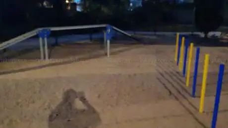 Photo de Dog play park