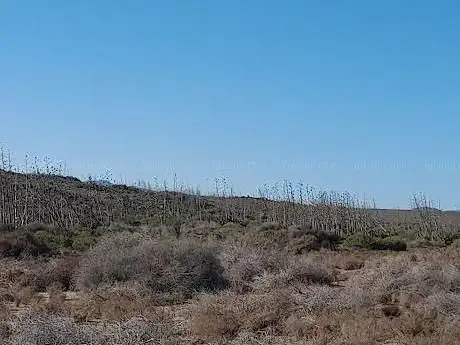 Photo de Duna Amoladeras