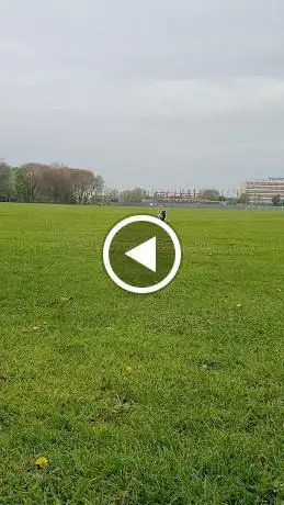 Photo de King George Playing Field
