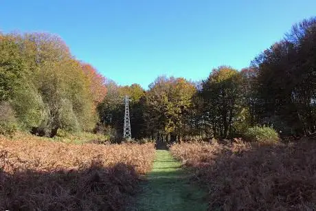 Photo de Piano la Foa