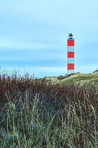 Photo de Promenade de Berck aux Sternes