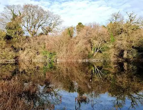 Photo de Popley Ponds