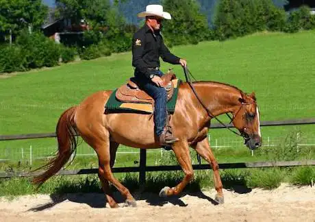 Photo de Mountain Ranch Heymann