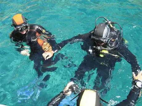 ArchiMete S.r.l. - OveringDivingCenter
