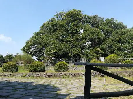 Photo de Campo Comunale San Giovanni Montebello