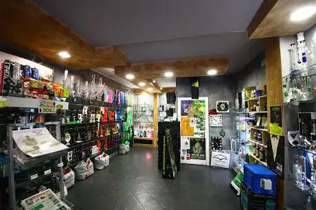 Yerba Santa Cagliari cbd outdoor & indooor canapa shop & smart shop & hemp shop & grow shop distributore 24 ore