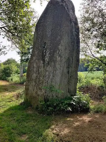 Photo de la pierre frite