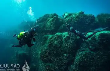 Cape July | Diving Sous-Marine & Apnée