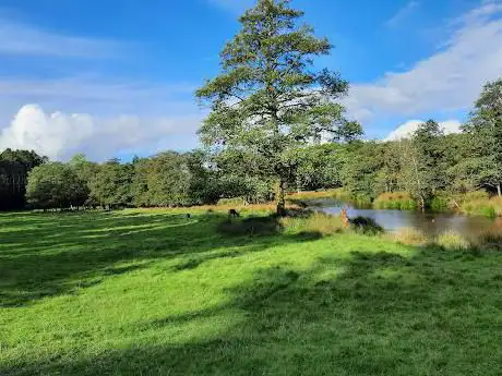 Photo de Farran Forest Park