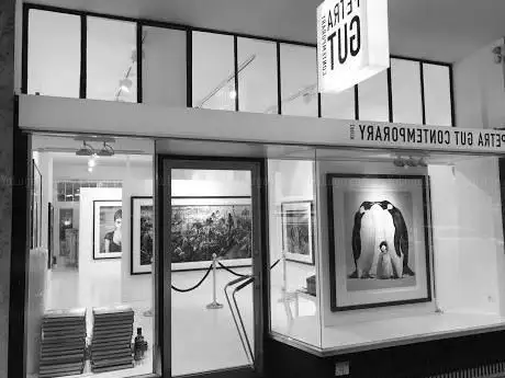 Photo de Petra Gut Contemporary AG