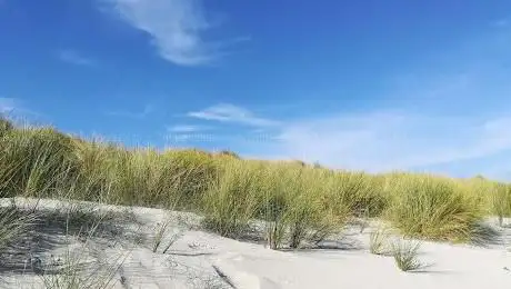 Dunes De Keremma