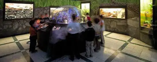 Photo de Museo Civico di Zoologia