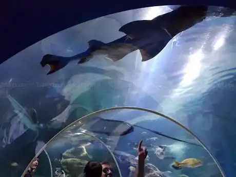 Blue Reef Aquarium Newquay