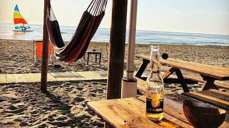 Photo de Single Fin Tuscany Dog Beach